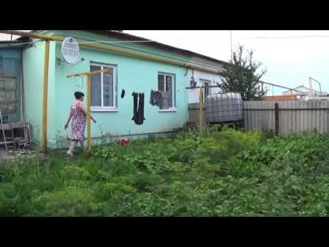 Елена Ильичева/Семья в огороде life/ Кракен в огороде