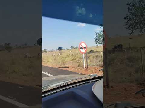 na estrada de bom Jesus do Araguaia e mato grosso