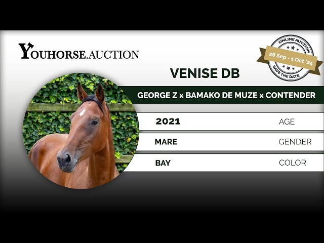 Venise DB