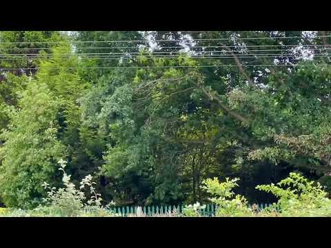 Green Machine 66951 Light Engine working 026J from Crewe Basford Hall SSM to Trafford Park FL TML