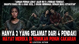 Download lagu Hanya 2 Yang Selamat Dari 4 Pendaki ||  Mayat  Mereka Penuh Ditemukan Cakaran - Kisah Mistis Pendaki mp3