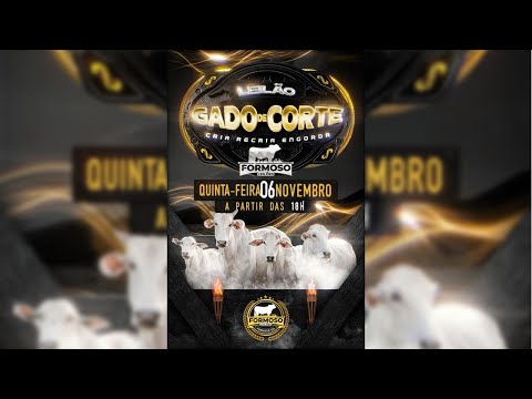 LEILÃO GADO DE CORTE FORMOSO LEILÕES - FORMOSO - GO - 06/11/2025