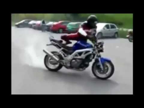 Cat Jump Fail Funny Cats Video try not to laugh