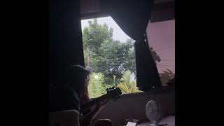 Download lagu she chose me by randy newman (except i forgot how it went midway) mp3