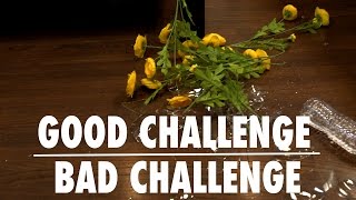 Rube Goldberg Bottle Flip: Give Them A Good Challenge