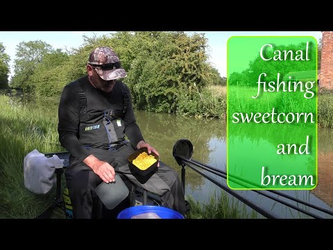 Canal fishing - sweetcorn and bream with Andrew Bolderson - Adrenaline-Rush