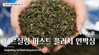 [Sub] 2021 생산 최고 등급 다즐링 홍차 언박싱 / Unboxing. Darjeeling 1st flush Seeyok #한국티소믈리에연구원