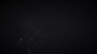 Primus Pork Chop's Little Ditty Music Video