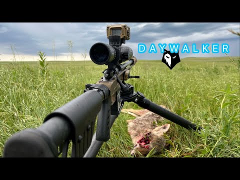 Coyote Hunting SUPPRESSED with Bergara rifles and Vortex Impact 4000