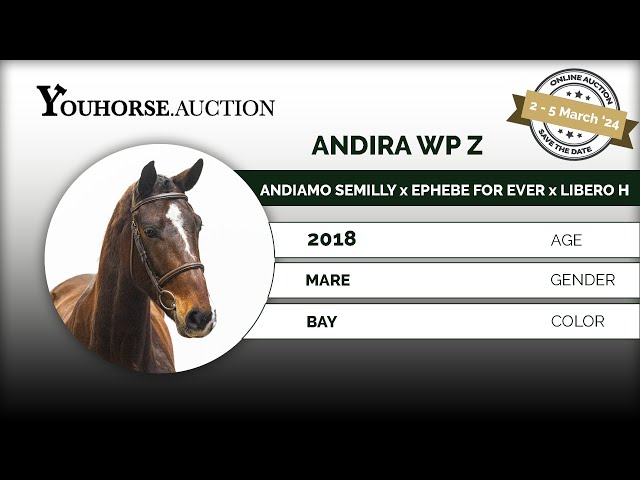Andira WP Z