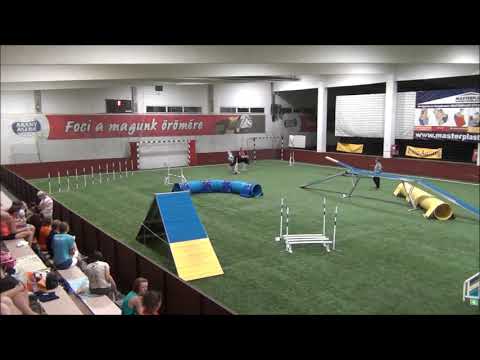 EGYÉJSZAKÁS KALAND AGILITY VERSENY 2019 06 29 30   Legendary of Jet Black Mithos   8  hely összetett