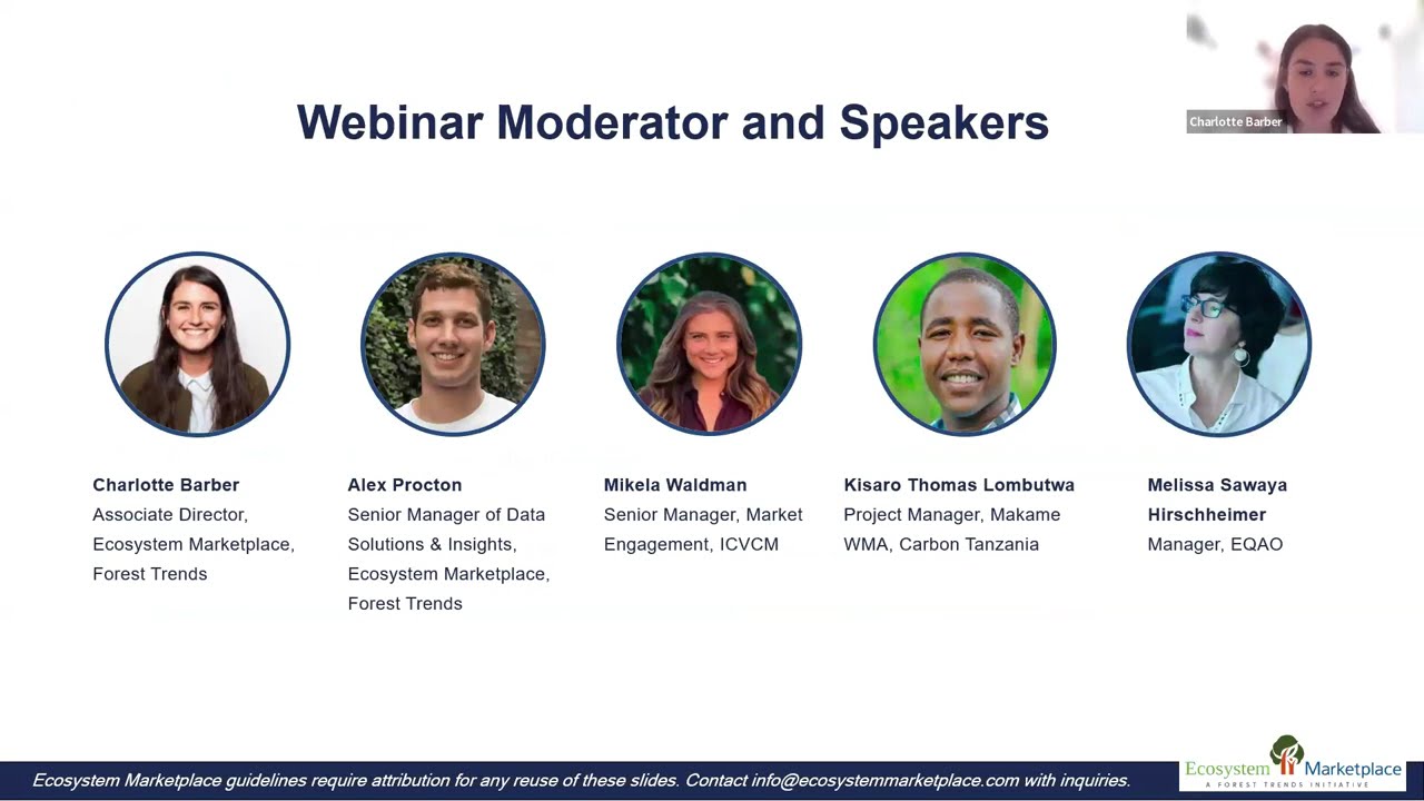 2025 State of the Voluntary Carbon Market