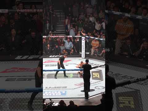 UFC video artwork