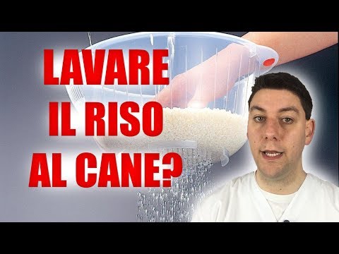 Cacao per capelli una maschera Naturale significa per capelli biondi