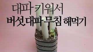 대파 키워서, 팽이버섯 대파 무침 해먹기. 245화 #해맑은TV