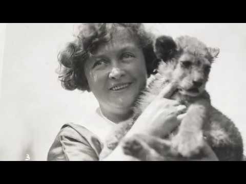 El Monte Historical Museum: Gays Lion Farm