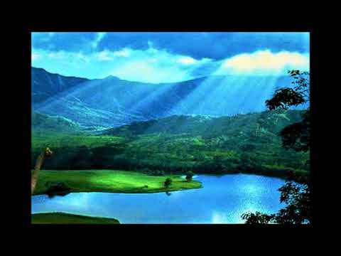 Mr Barry - Main Theme