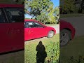 How close can I get before wild bunny moves?