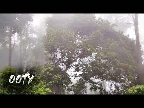 The Ooty Vlog