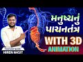 Human Digestive System in Gujarati | Digestive System 3D Animation | Digestive System By Hiren Sir