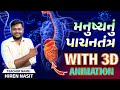 Human Digestive System In Gujarati Digestive System 3D Animation Digestive System By Hiren Sir
