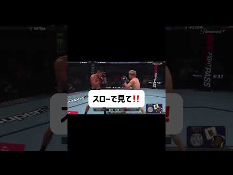 朝倉海選手のコンビネーション、速すぎませんか？🥊 #朝倉海 #格闘技 #shorts