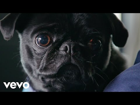 BAILEN - Something Tells Me (Official Music Video)