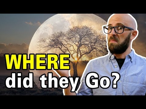 download lagu mp3 mp4 Moon And Tree, download mp3 Moon And Tree free download, download mp3 Moon And Tree