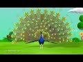 Learn English Birds Names 3D Animation Preschool Nursery Rhymes For Children