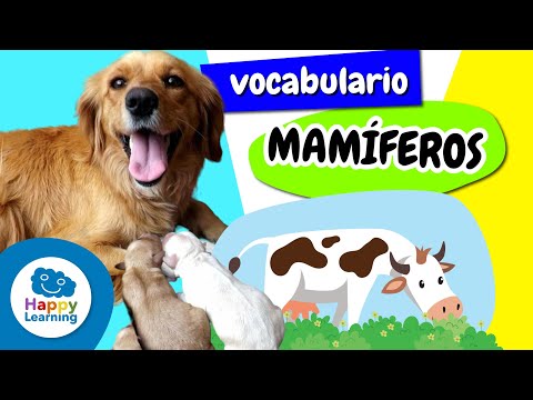 VOCABULARIO: Los mamíferos | Vídeos Educativos para Niños de PRIMARIA |  @HappyLearningES