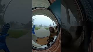 Temporal chegou na casa do caquinho