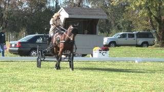 preview picture of video 'Katie Ortepio Dressage Garden State CT 2013'