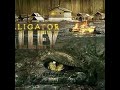 Alligator Alley New Hollywood Movies Hindi Dubbed 2020 HD 2020 Crocodile Movies Alligator Alley