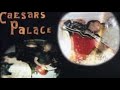 Let My Freak Flag Fly - Caesars