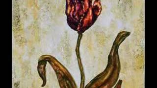 Bonnie Raitt  - Nick Of Time