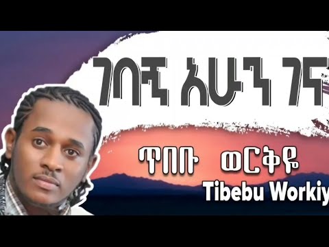 Tibebu workiye - Gebagn Ahun gena (Lyrics) | ጥበቡ ወርቅዬ - ገባኝ አሁን ገና (ግጥሞች) @WowLyricsOfficial