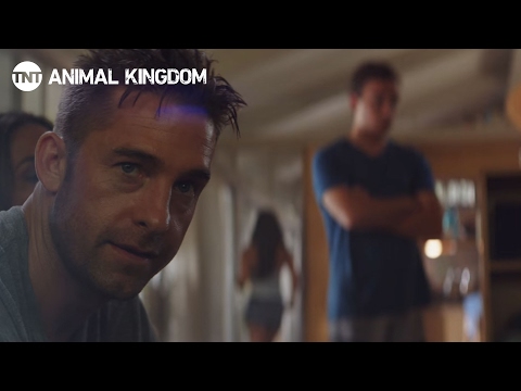 Animal Kingdom Season 1 (Promo 'Critics')