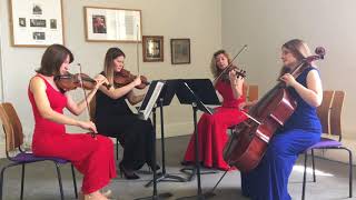 Viva La Vida Strings