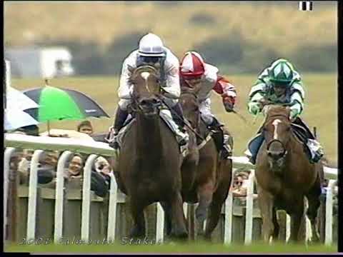 2001 Falmouth Stakes Proudwings Inc Replay