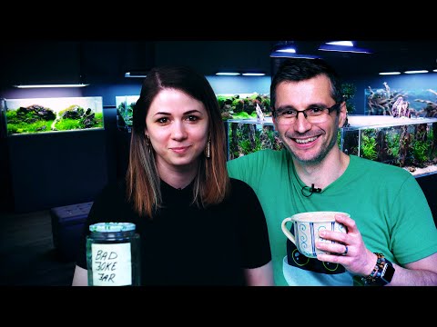 Chill's FIRST PLANTED TANK - Beginner Guide with Balazs - Pt. 1