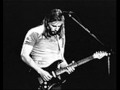 Pink Floyd Shine on you crazy diamond 6 9 Fort ...