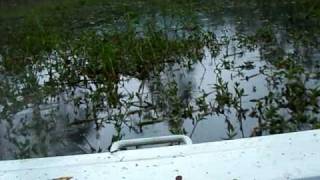 preview picture of video 'P01 Alligator mini airboat test, Pangalengan'