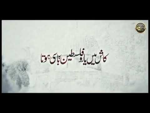 Kash Me Yaro Palestine Ka Basi hota 🇰🇼 #viralvideo #nazam #islam #aqsa