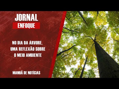 No Dia da Àrvore, bióloga analisa o impacto do homem ao Meio Ambiente