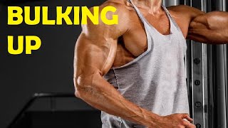how to bulk up for skinny guys beginners
