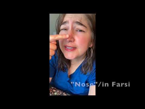 Arabic & Farsi   SD 480p