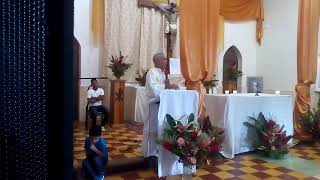 preview picture of video 'mensaje de padre tito dela parroquia de taulabe en la parroquia de San Jose de comayagua'