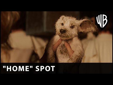 Supergirl - Home - Warner Bros. UK & Ireland