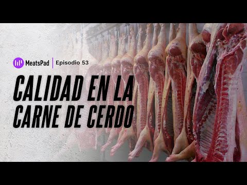 , title : 'Calidad en la Carne de Cerdo'