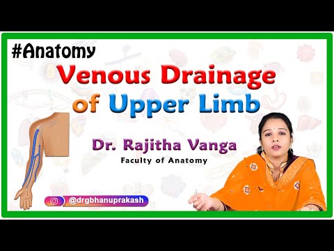 Venous Drainage of the Upper Limb